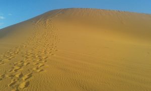 day trips from Marrakech , morocco desert tours