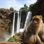 excursion from marrakech , day trip marrakech