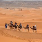 merzouga desert morocco